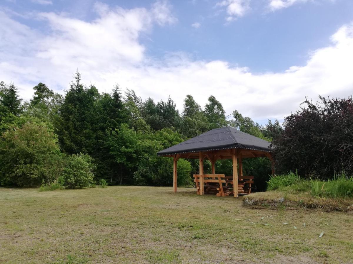 Lesniczowka Wieckowo-noclegi Holiday home Janowo (Nidzica, Warmian-Masurian)